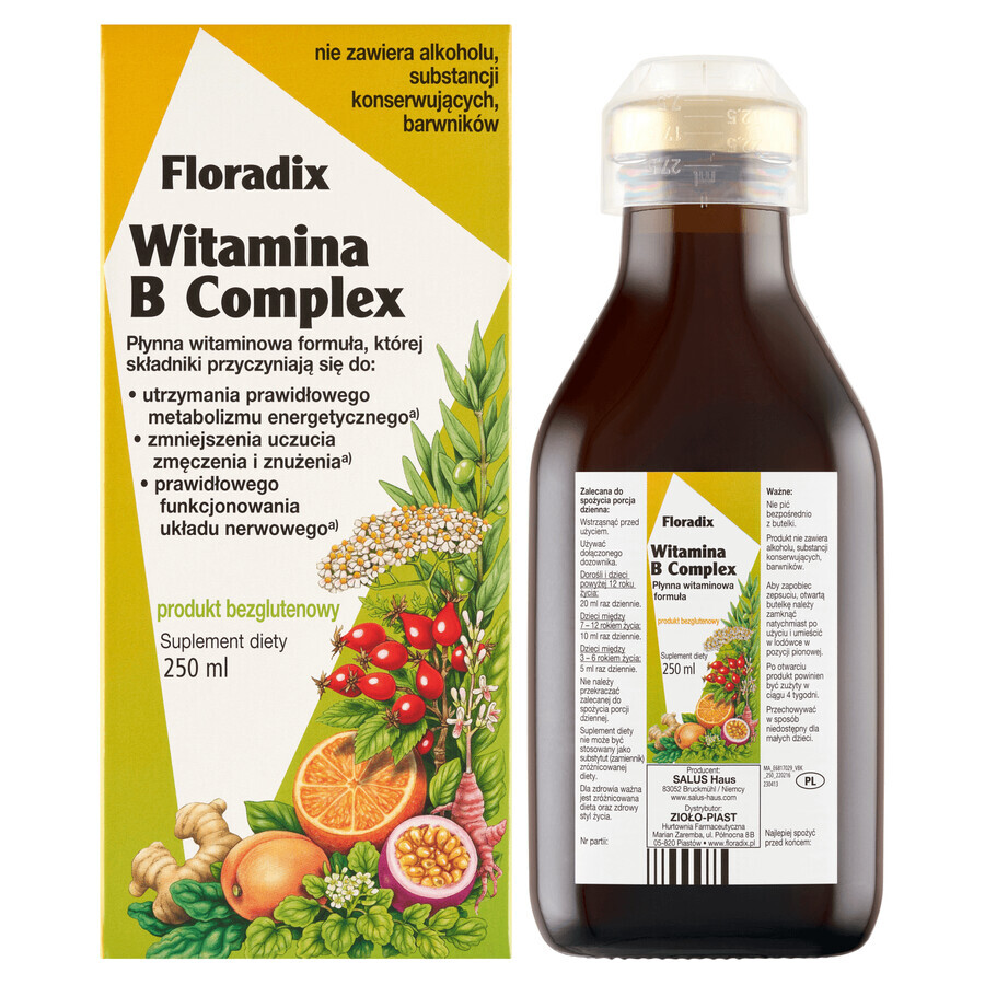 Floradix Complesso di vitamine B, 250 ml