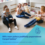 Canpol Babies, assorbenti post parto traspiranti e altamente assorbenti, 10 pezzi + 2 pezzi in omaggio