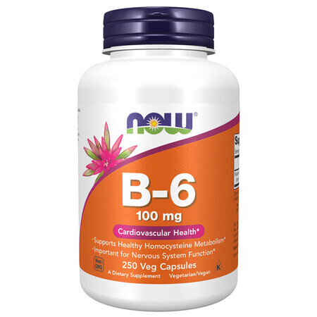 Now Foods B-6, vitamina B6 100 mg, 250 capsule