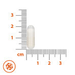 Potassio SEMA Lab, 60 capsule rigide