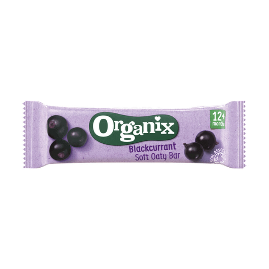 Organic Organic whole oat bar with apples and blackcurrants, +12 months, 30 g, Organix