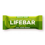 Raw barley and chia bar, 47 g, Lifebar