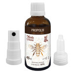 Miody Polskie Propolis, ethanolic extract of propolis 10%, drops, 45 ml