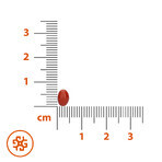 SEMA Lab Betacaroteno + vitamina E, 60 cápsulas blandas