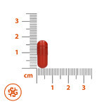 SEMA Lab Hierro + Vitamina C, 60 cápsulas duras