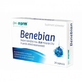 Benebian adulti, 14 capsule, Walmark 