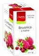 Apotheke Premier Selection Bacche di t&#232; al mirtillo rosso e lampone 20 x 2 g