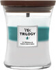 WoodWick Trilogy candela profumata media, Icy woodland 275 g