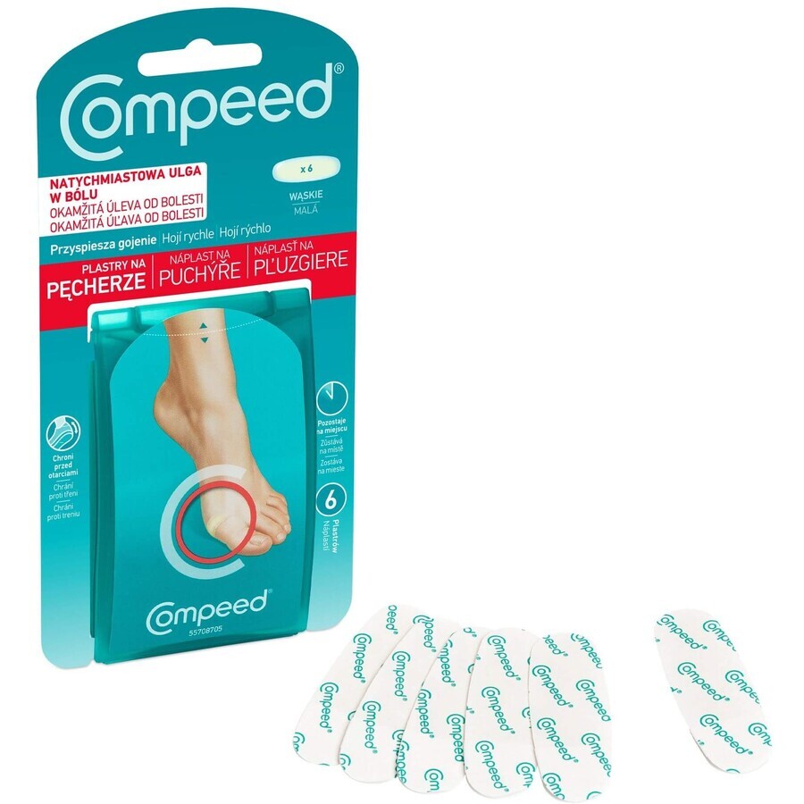 Compeed Plasture piccolo blister 6 pz.