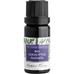 Nobilis Tilia Olio essenziale biologico Eucalyptus radiata 5 ml