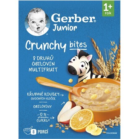 Gerber Junior porridge di frutta senza latte con pezzi croccanti 200 g