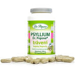 Dr.Popov Psyllium Digestie 120 capsule