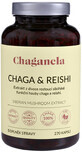 Estratto di Chaganela Chaga con reishi 270 capsule