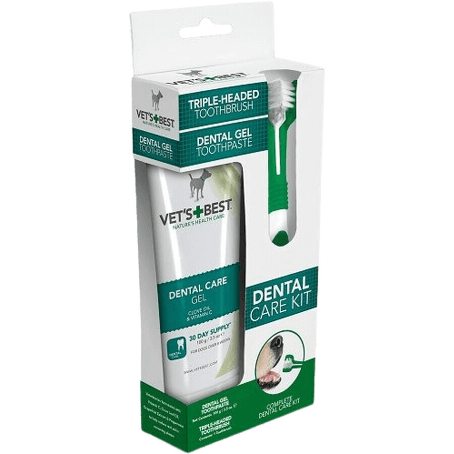 Il miglior kit per la pulizia dei denti dei cani del veterinario 100 g