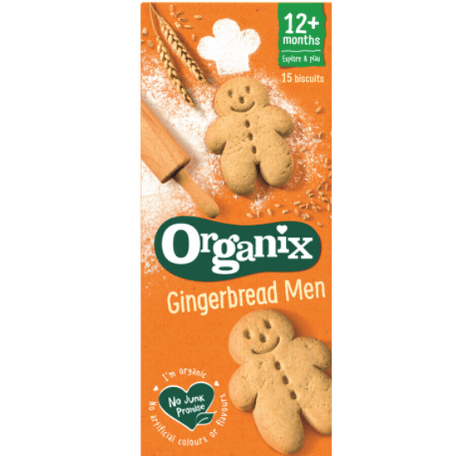 Goodies Organic Ginger Biscuits, +12 months, 125 g, Organix