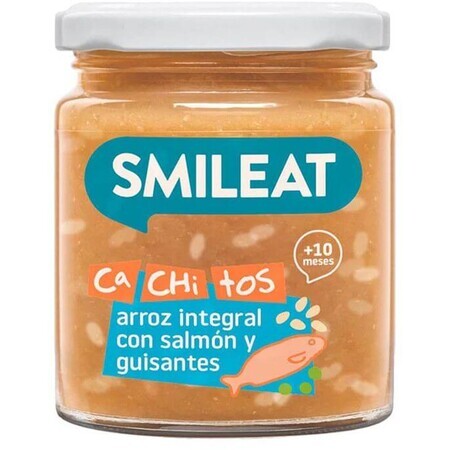 Smileat Salmone biologico con riso integrale e verdure con olio extravergine di oliva 10M+ 230 g