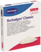 Hartmann Sorbalgon Classic 10 x 10 cm, 10 pz.