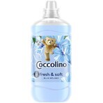 Coccolino Blue splash balsamo per bucato 1,45 l