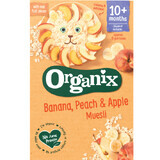 Cereal Eco musli with bananas, peaches and apple, +10 months, 200 g, Organix