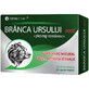 Br&#226;nca Ursului 4000, 30 capsule vegetali, Cosmopharm