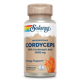 Cordyceps, 60 capsules, Solaray