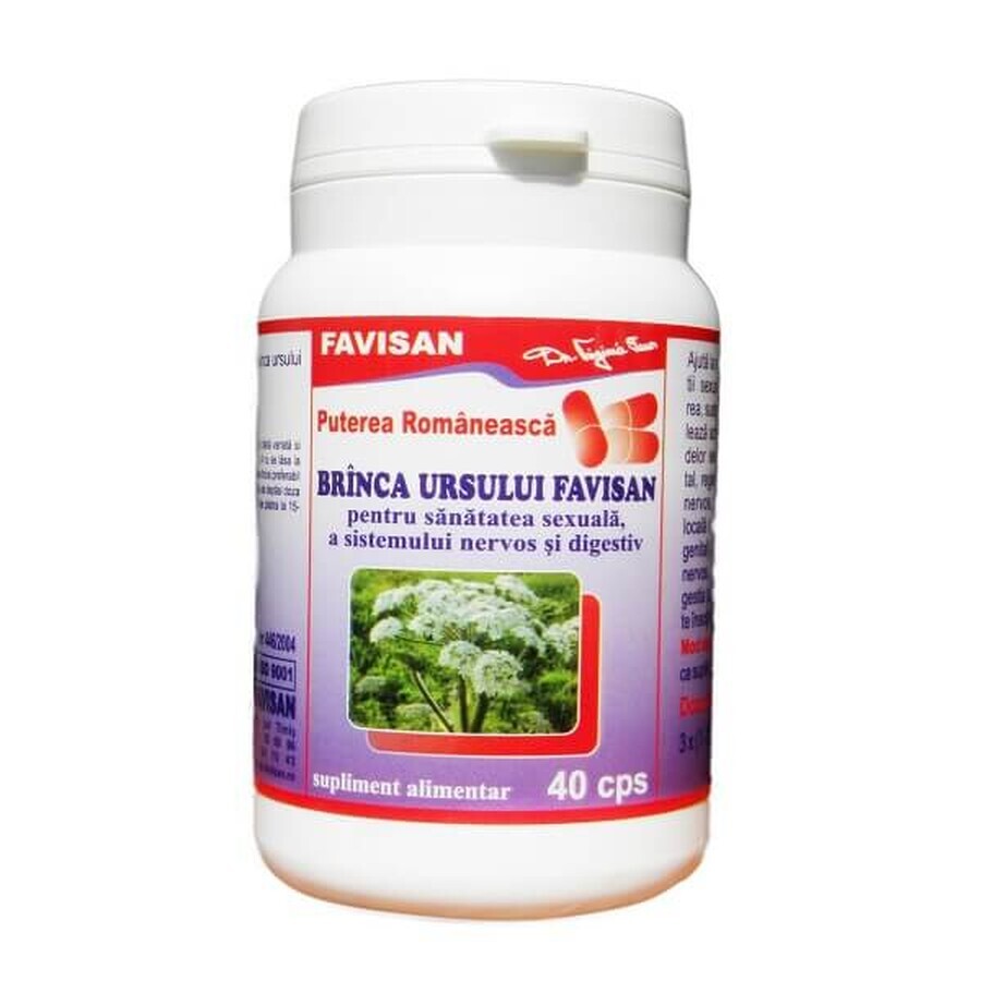 Brânca ursului, 40 capsule, Favisan