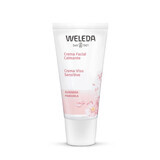 Weleda Crema Viso Sensitive Mandorla, 30ml