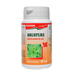 Brusture, 40 capsules, Favisan