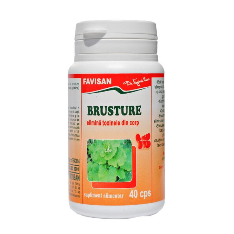 Brusture, 40 capsules, Favisan