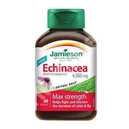 Echinacea 400 mg, 60 capsule, Jamieson