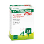 Enterolactis Plus, 10 sachets, Sofar