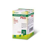 Enterolactis Plus, 20 capsule, Sofar