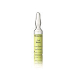 Fiala con concentrato per la rigenerazione cellulare Riparazione cellulare, 3 ml, Dr Grandel