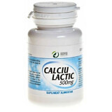 Lactic Calcium 500 mg, 100 tablets, Adya