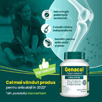 Genacol Collagene Aminolock, 90 capsule, Darmaplant