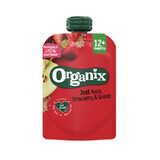 Apple, strawberry and quinoa snack, 100 gr, Organix