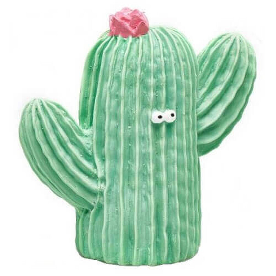 Jouet de dentition sensoriel Cactus, 510, Natura Toys