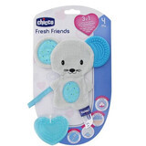 Fresh Friend Massaggiagengive 3 In 1 Bimbo Chicco®