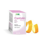 Cantalin micro, 32 tablets, Agetis