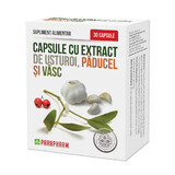 Garlic Extract Capsules with Hawthorn and Mistletoe, 30 capsules, Parapharm