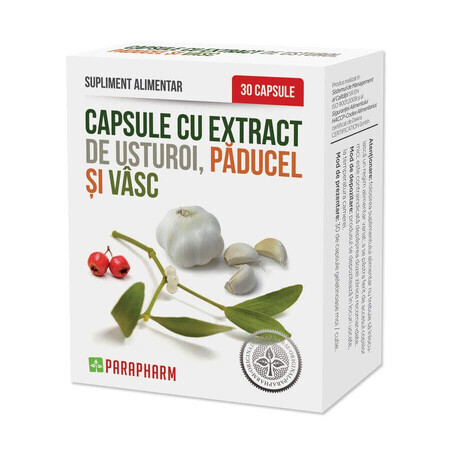 Garlic Extract Capsules with Hawthorn and Mistletoe, 30 capsules, Parapharm