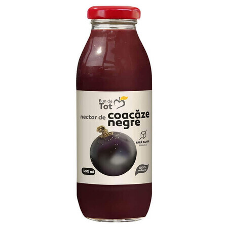 Blackcurrant nectar Bun de Tot, 300 ml, Dacia Plant