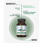 Neem, 60 capsule, Organic India