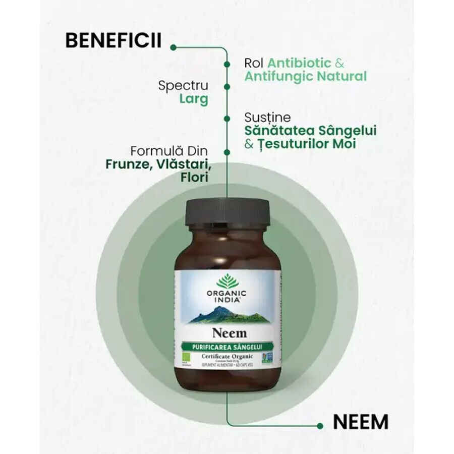 Neem, 60 capsule, Organic India