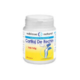 Cartilage de requin 740 mg, 90 gélules, Noblesse