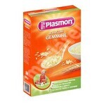 Plasmon Pastina Gemmine 340g