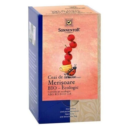 Organic Fruit Tea Blueberry, 18 sachets, Sonnentor