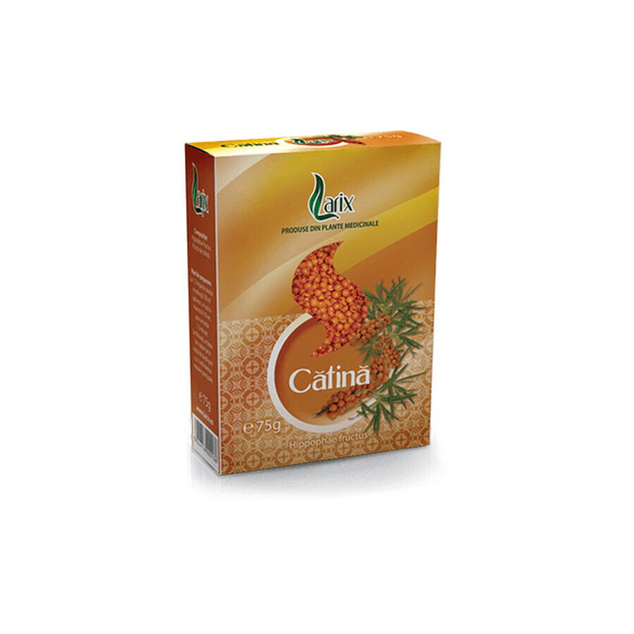 Catina Thee, 75 g, Larix