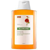 Shampoo Alla Cappuccina Klorane 200ml