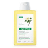 Shampoo Alla Cera Di Magnolia Klorane 200ml